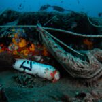 The Impact of Overfishing on Marine Ecosystems and How Scuba Divers Can Help