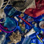 The Effects of Plastic Pollution on the Ocean and What Scuba Divers Can Do to Help