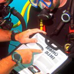 The Importance of Buddy Checks in Scuba Diving