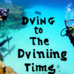 The Best Time of Year to Visit Popular Dive Destinations