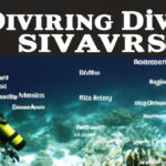 The Best Dive Sites for Adventure Seekers: From Drift Diving to Shark Diving