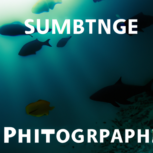 The Best Photo Editing Software for Underwater Photography