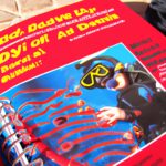 A Guide to Scuba Diving in the Red Sea