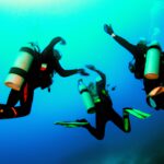 The Role of Scuba Divers in Marine Conservation: How Diving Can Make a Difference